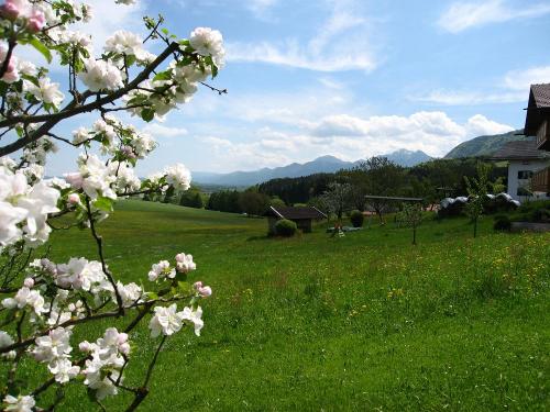 Frühlingsstimmung