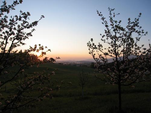 Ausblick vom Obstgarten