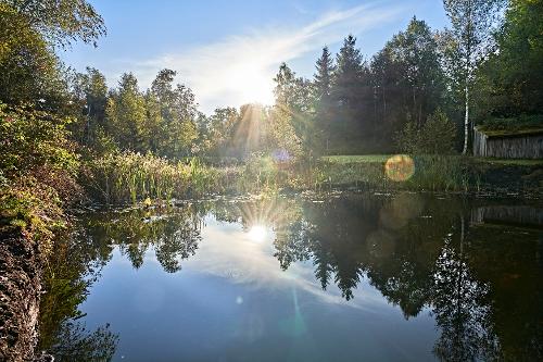 Moorstich Bad Kohlgrub  C  Gert Krautbauer