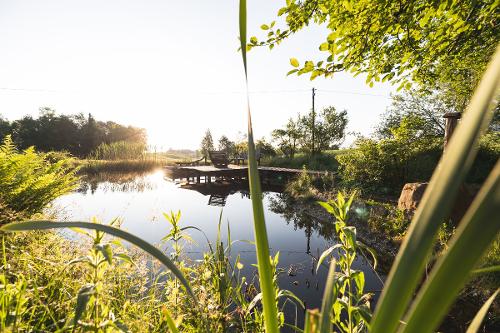 Gesundheit Moor  C  Hansi Heckmair