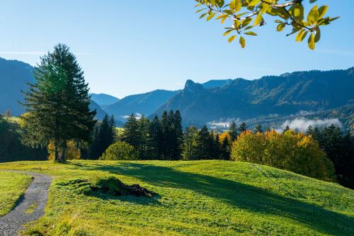 Kapplkirche Landschaft  C  Anja Lieberherr