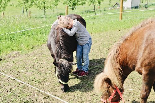 ponykuscheln