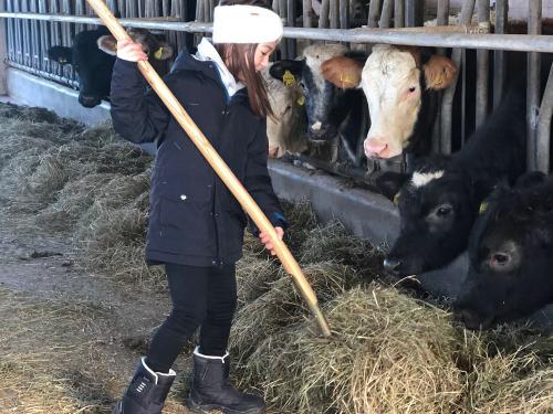 Im Stall freuen wir uns über jede Hilfe