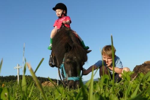 Pony reiten