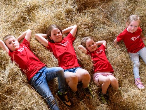 Heuscheune Heuscheune