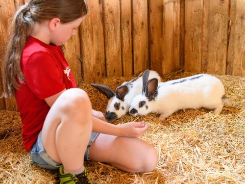Hasenkuscheln Hasenkuscheln