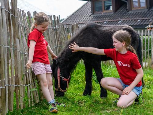 Pferdeglück Pferdeglück