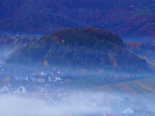 winzerhof_schlierbach_berg