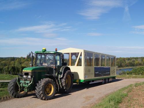 Planwagenfahrt Planwagenfahrt