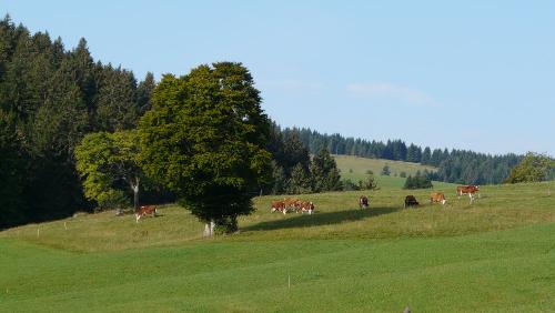 Natur so weit das Auge reicht