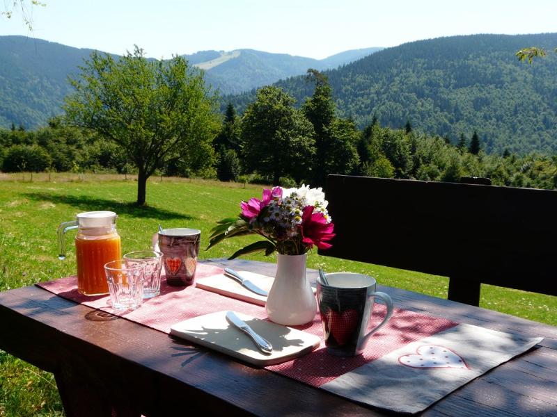 Frühstück unterm Lindenbaum