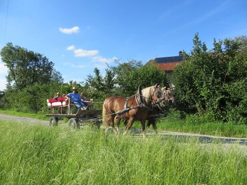 img_4807