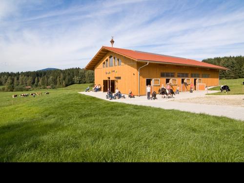 Spielscheune und Pferdestall