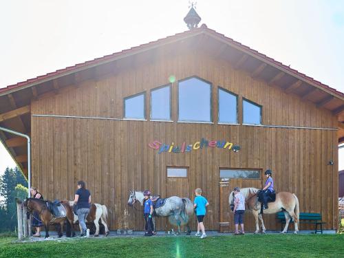 Ponys und Pferd liebhaben und putzen