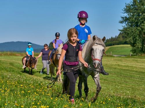 geführtes Reiten