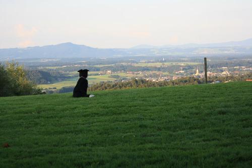 Unser Ausblick