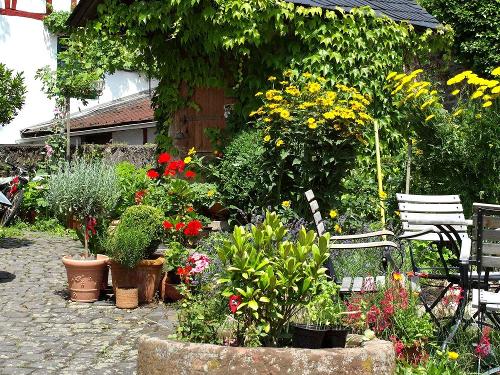 Garten im Springiersbacher Hof an der Mosel1