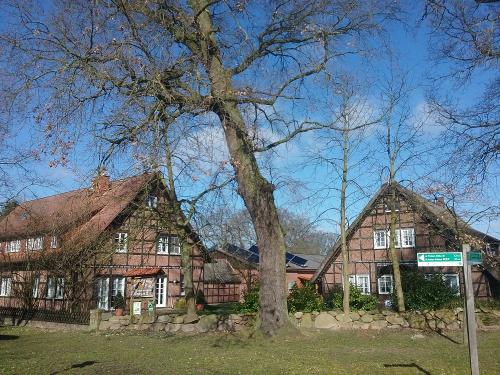 Sommerbild