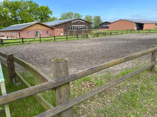 Pferdeparadies mit Stall und Reitmöglichkeiten Pferdeparadies mit Stall und Reitmöglichkeiten