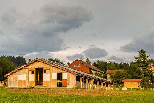 Der offene Laufstall