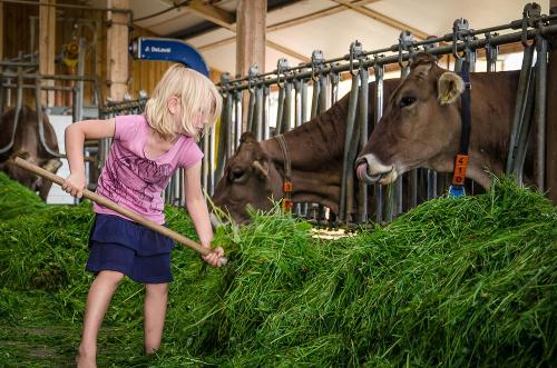 Gerne darf mit angepackt werden