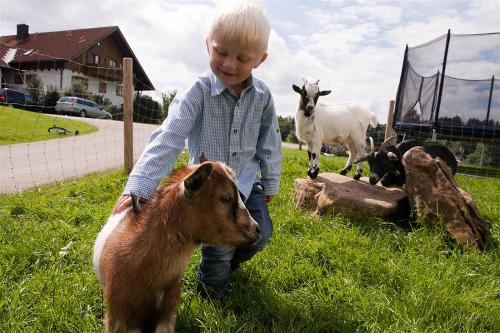 Kinder erfreuen sich an den vielen Tieren