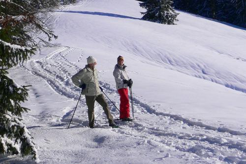 Mit Schneeschuhen durch die Winterlandschaft