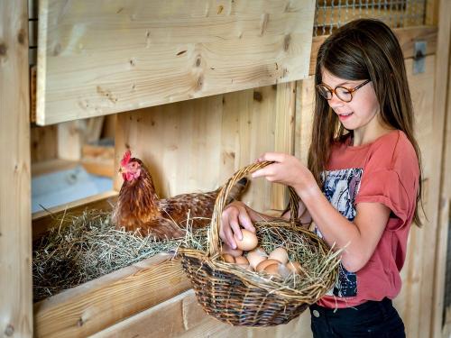 web_thomahof_0721-6523