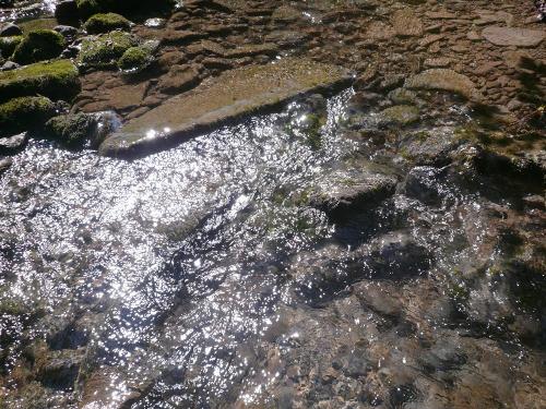 glasklarer Tobelbach - ca. 10 Min vom Hof entfernt