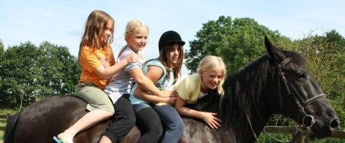 4 Kinder und 1 Pferd