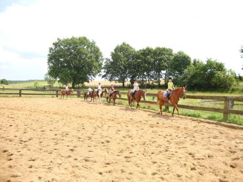 Reitgruppe1