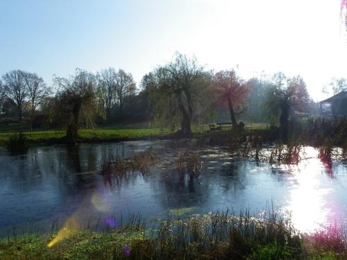 Am Dorfteich