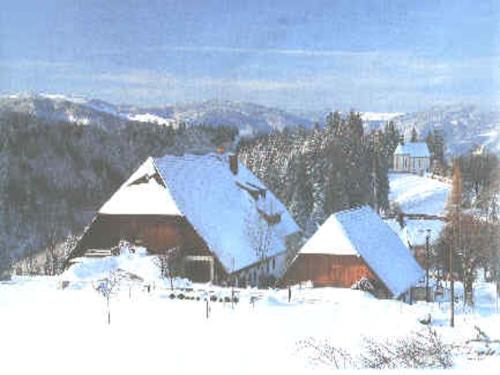 Hof im Winter