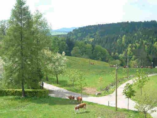 Balkonblick