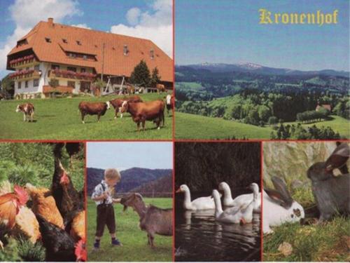 Kronenhof in St. Märgen