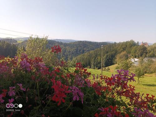 Aussicht