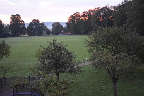 Blick am Morgen vom Balkon