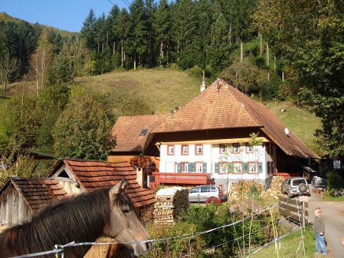 Burgershof