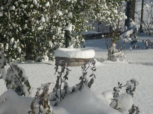 Unser Garten im Winter