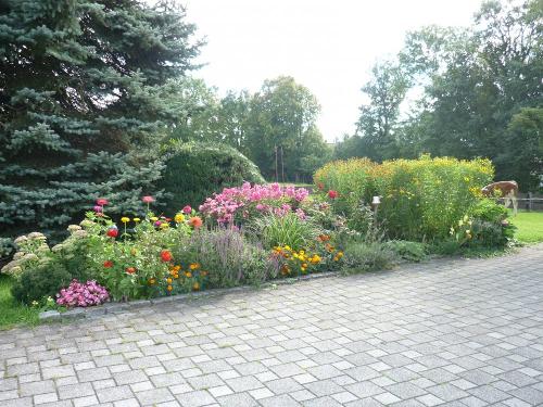 Blumen Parkplatz am Haus