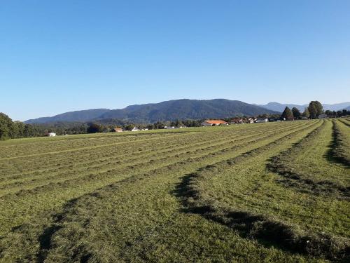 Heuernte