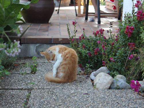 Morgenwäsche Morgenwäsche