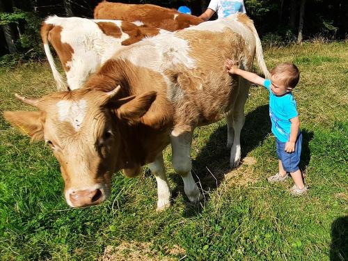 Streicheleinheiten Streicheleinheiten