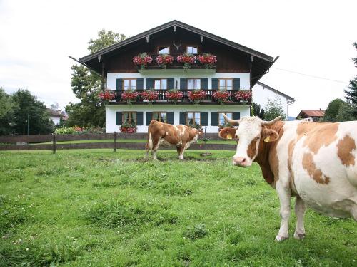 Wohlfühlen auf der Weide Wohlfühlen auf der Weide