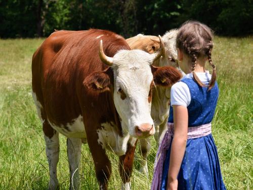 Streicheleinheiten Streicheleinheiten