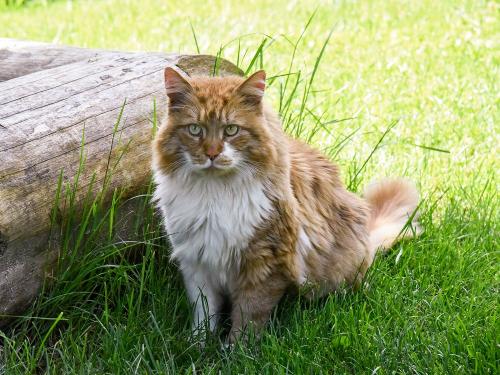 Unser Hofchef Unser Hofchef