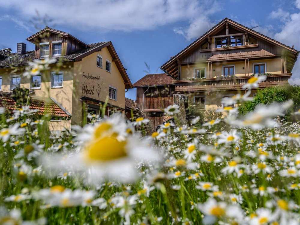 WenzlHof
