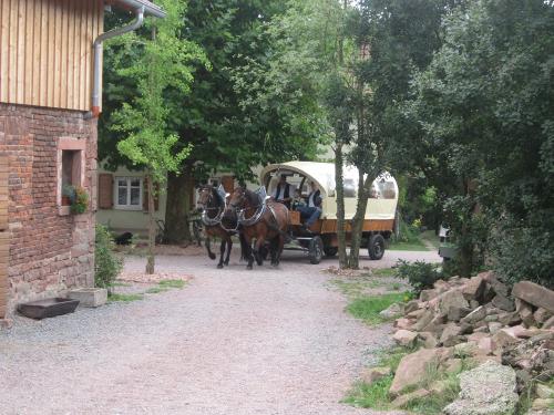 Kutschfahrt