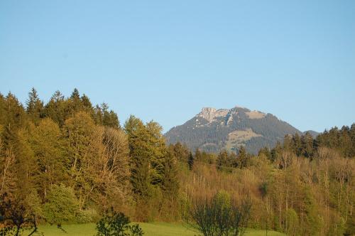 unser Ausblick