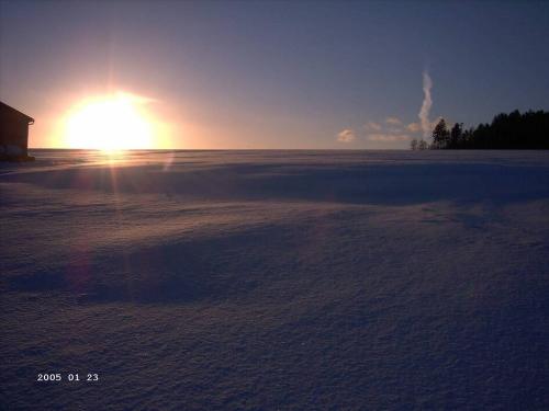 wintertraum